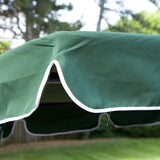 2-Person Porch Swing with Canopy in Green & White - Dubh_Arts
 - 4