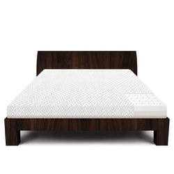 Queen-size 10-inch Thick Latex Foam Mattress - 25-Year Warranty - Dubh_Arts
 - 1